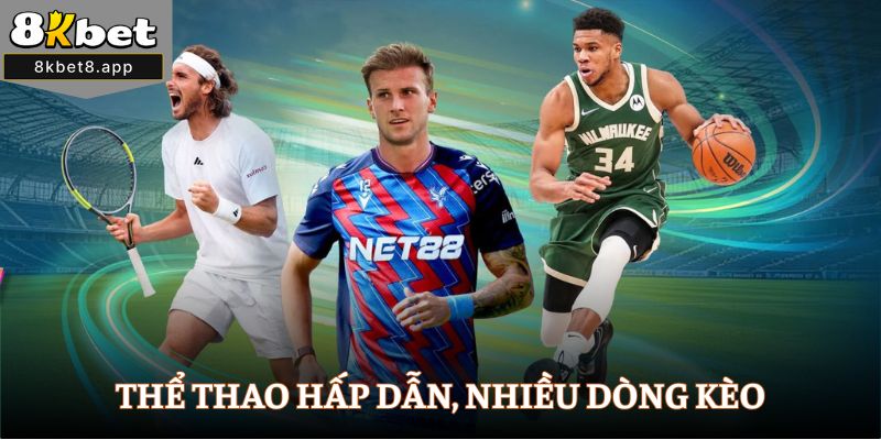 Thể thao hấp dẫn, nhiều dòng kèo