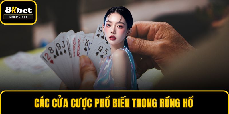 Các cửa cược phổ biến trong Rồng Hổ