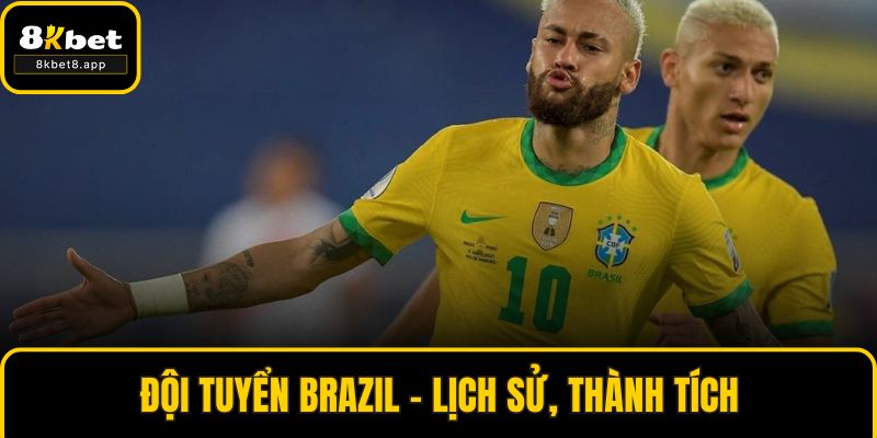 Đội Tuyển Brazil - Lịch Sử, Thành Tích