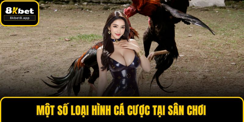 Một số loại hình cá cược tại sân chơi