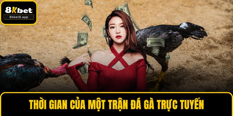 Thời gian của một trận đá gà trực tuyến