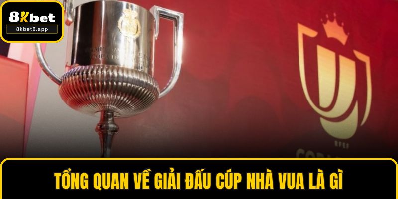 Tổng quan về giải đấu cúp nhà vua là gì
